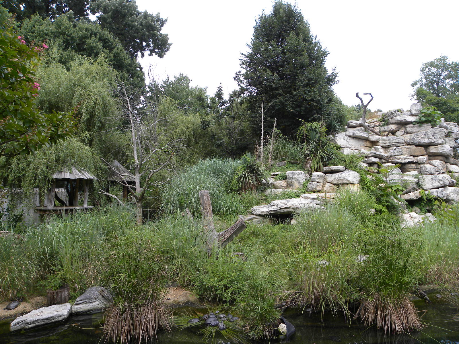 very good lemur exhibit