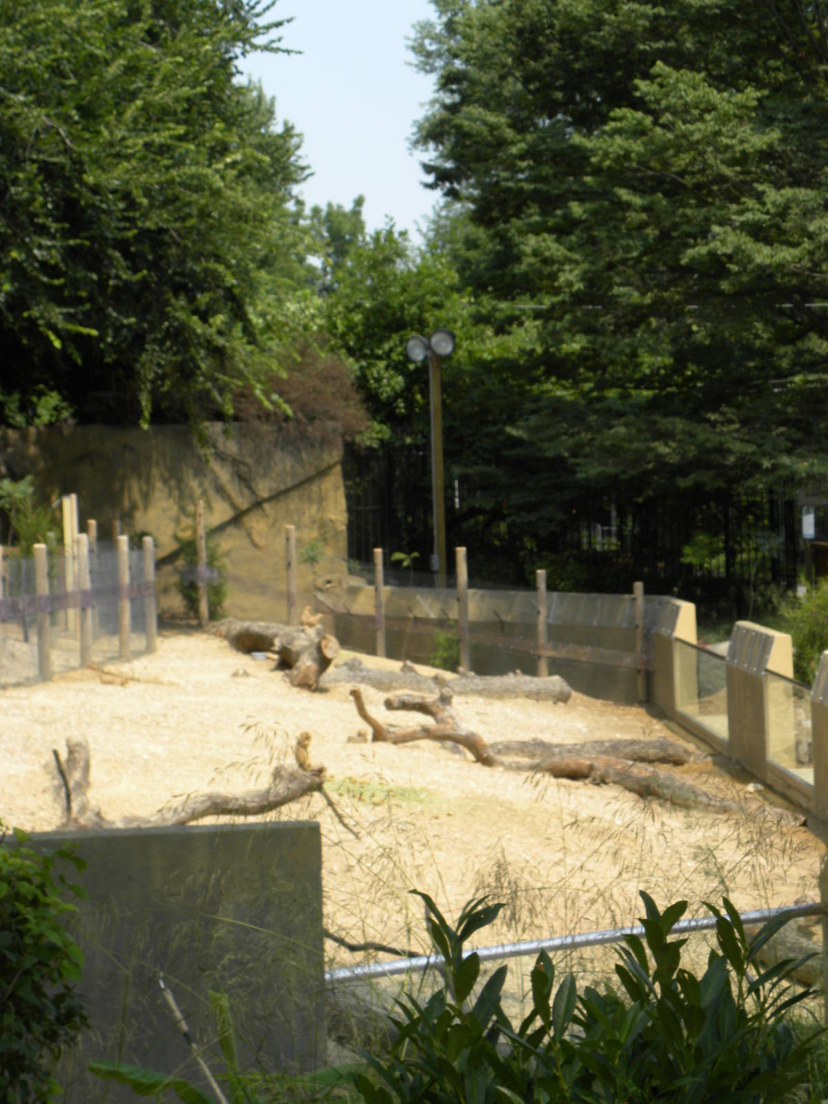 Very good prairie dog exhibit