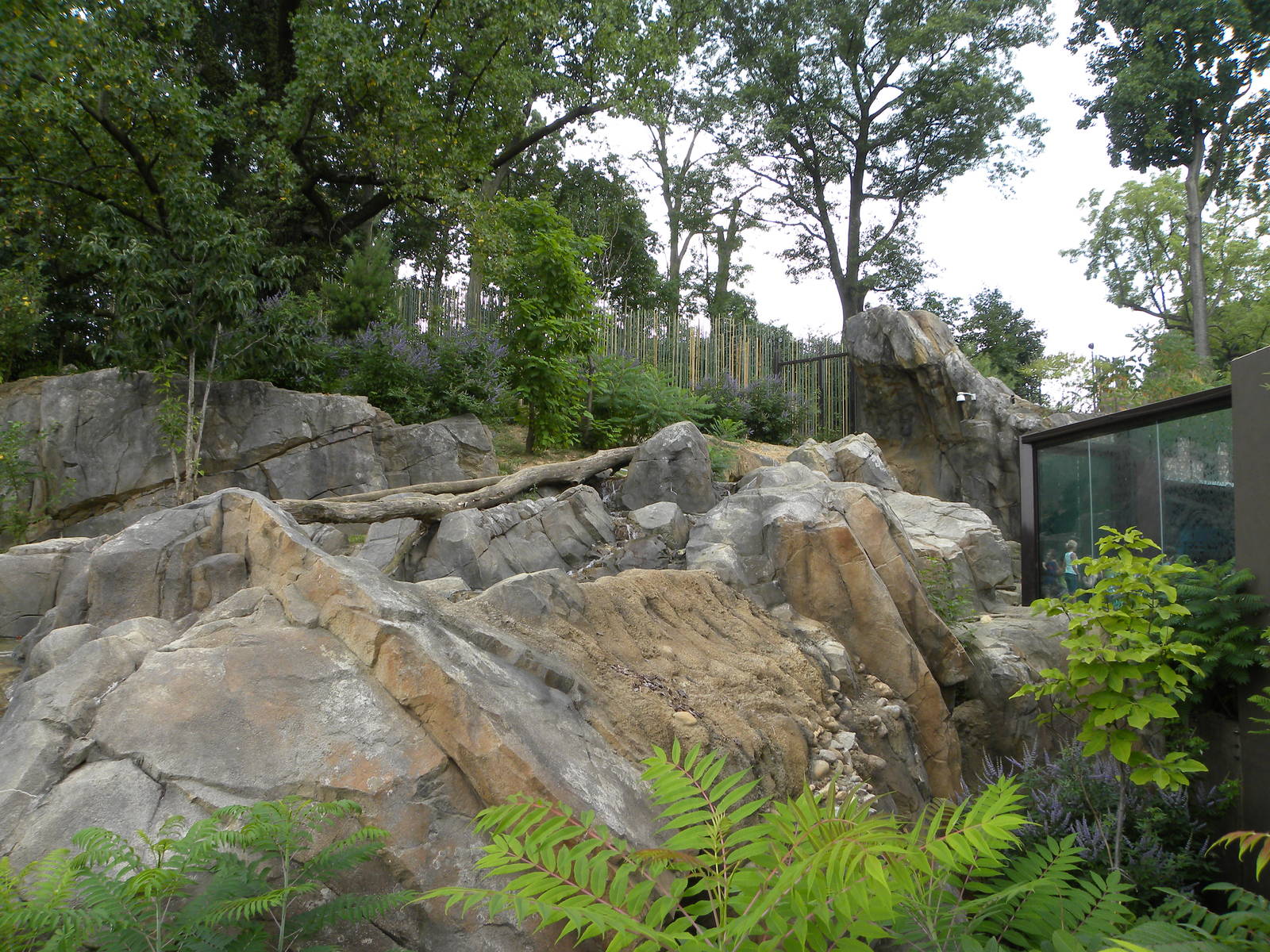 very good sloth bear exhibit