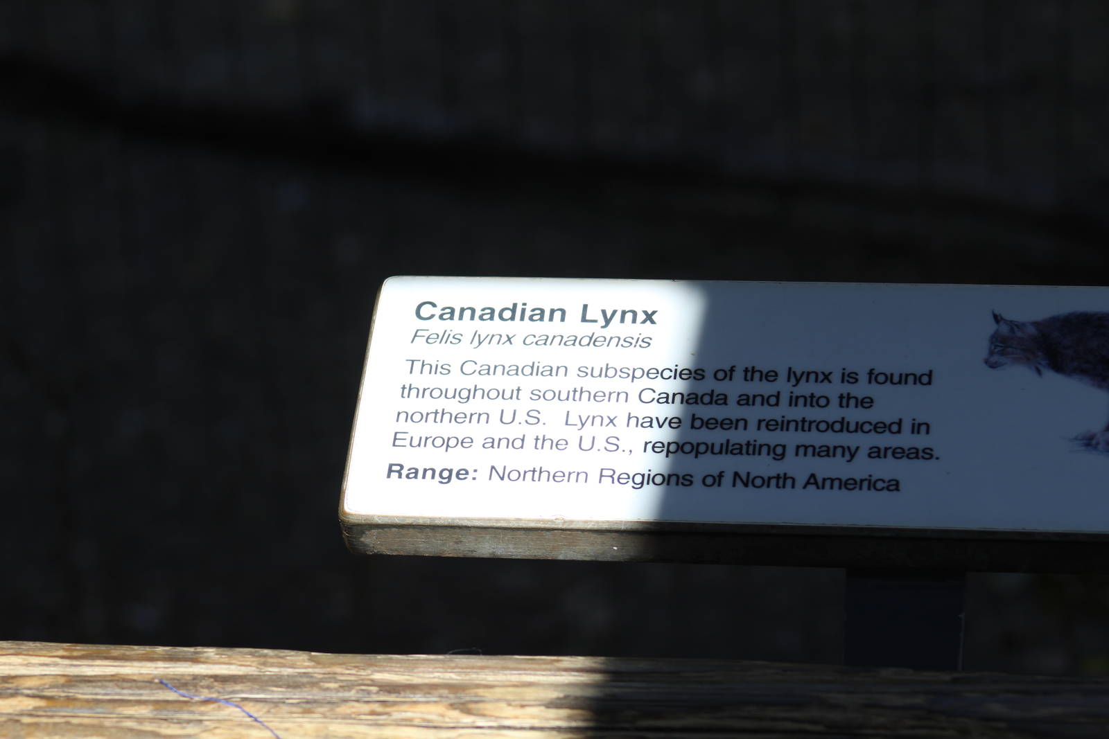 Very Incorrect Signage