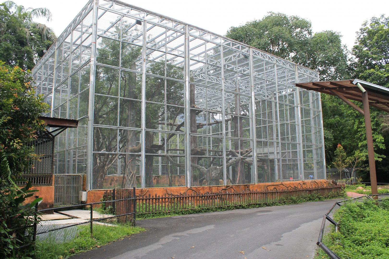 very large and tall cage for a Black Panther