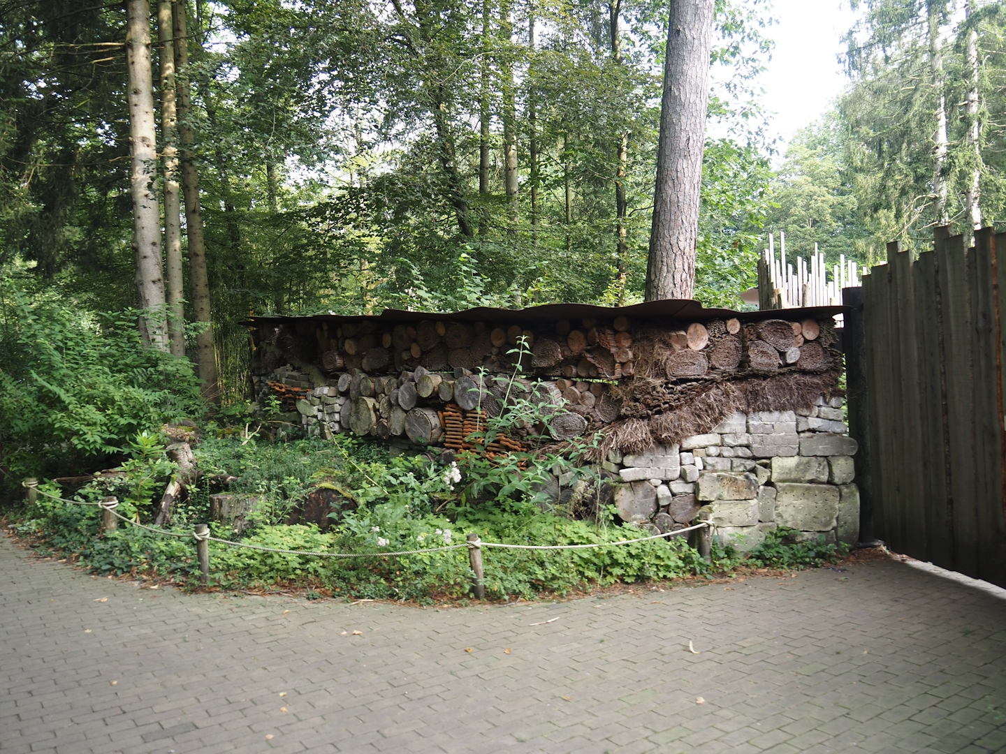 Very long insect wall, 2024-08-18