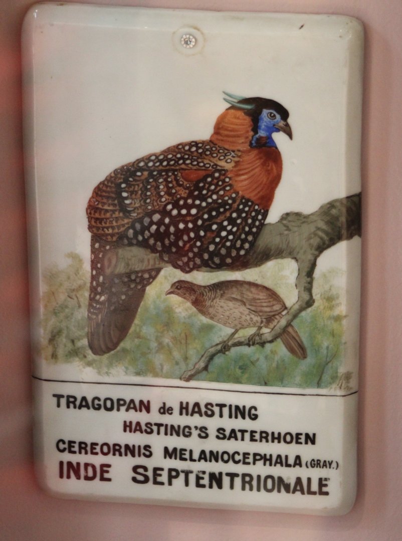 Very old ( and intresting ) sign