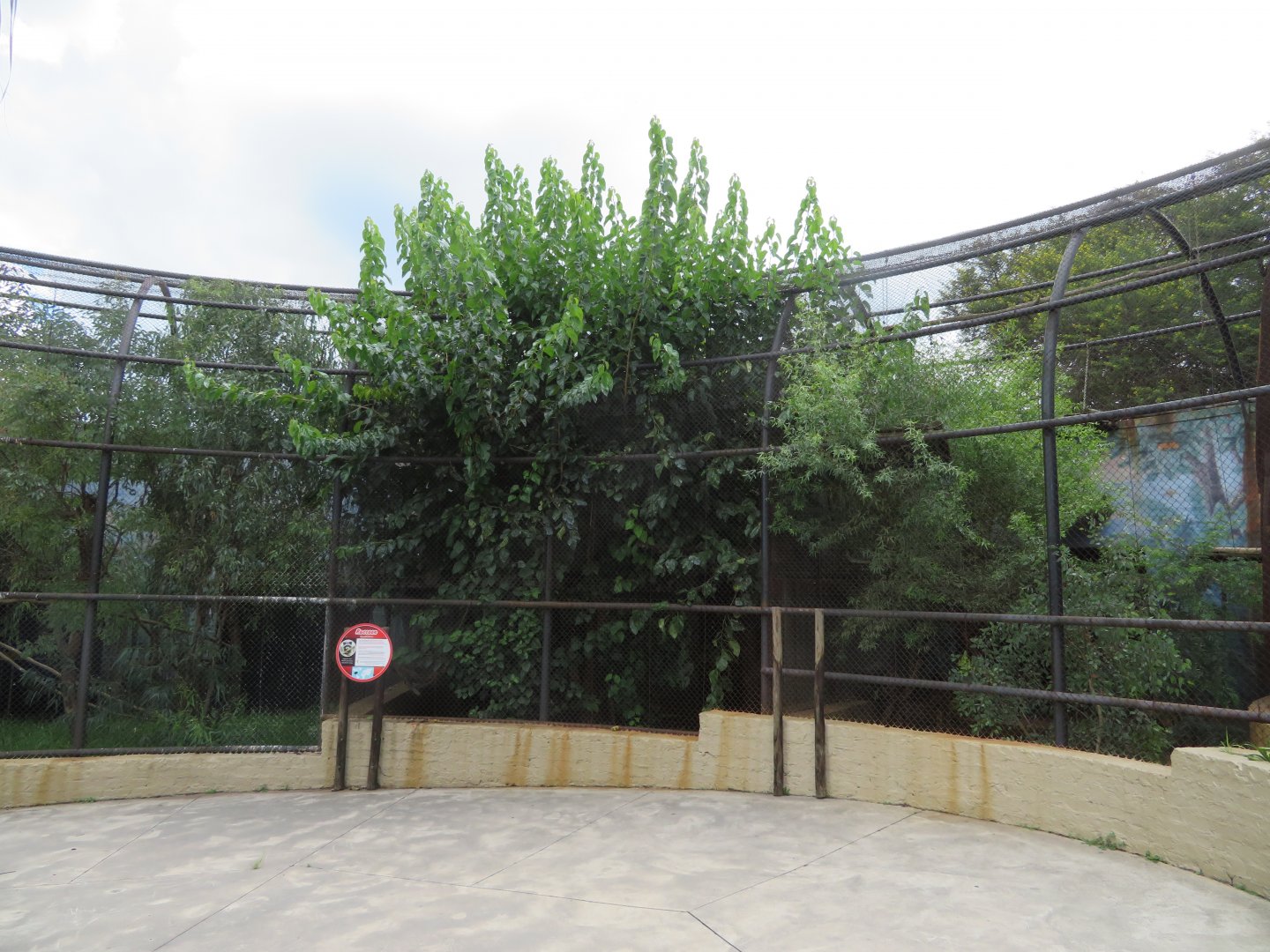 Very overgrown enclosures.