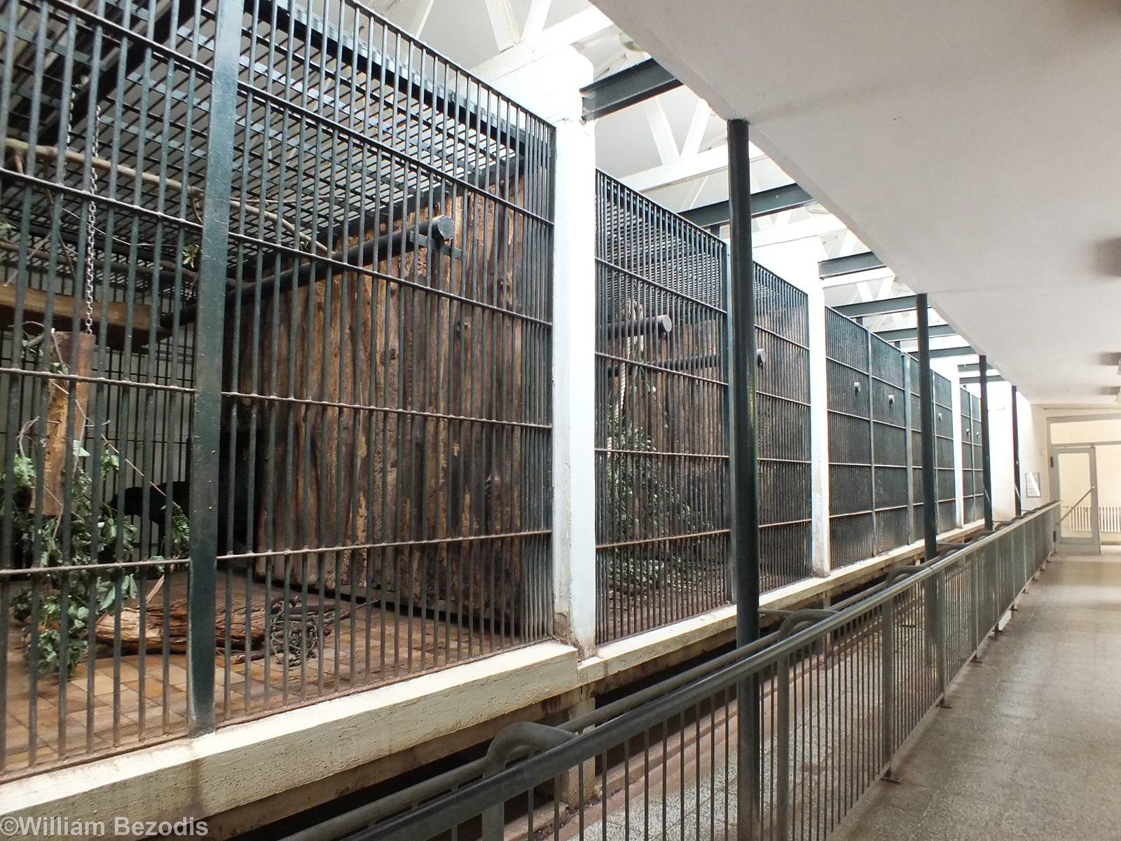 Very Poor Sun Bear Enclosures
