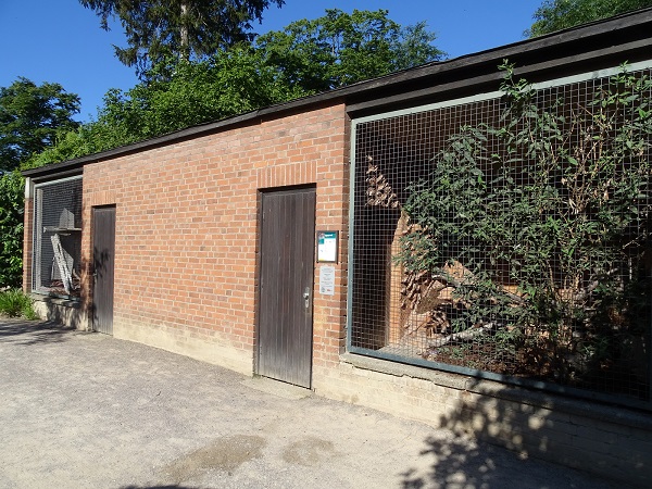 Very small jaguarundi enclosure (07/22)