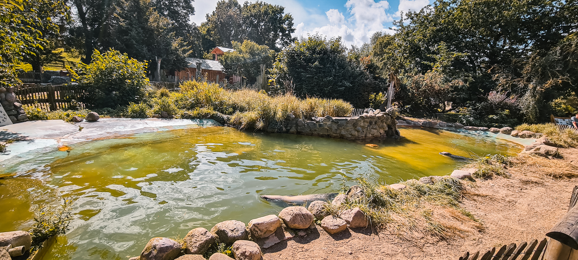 Very small Seal pond