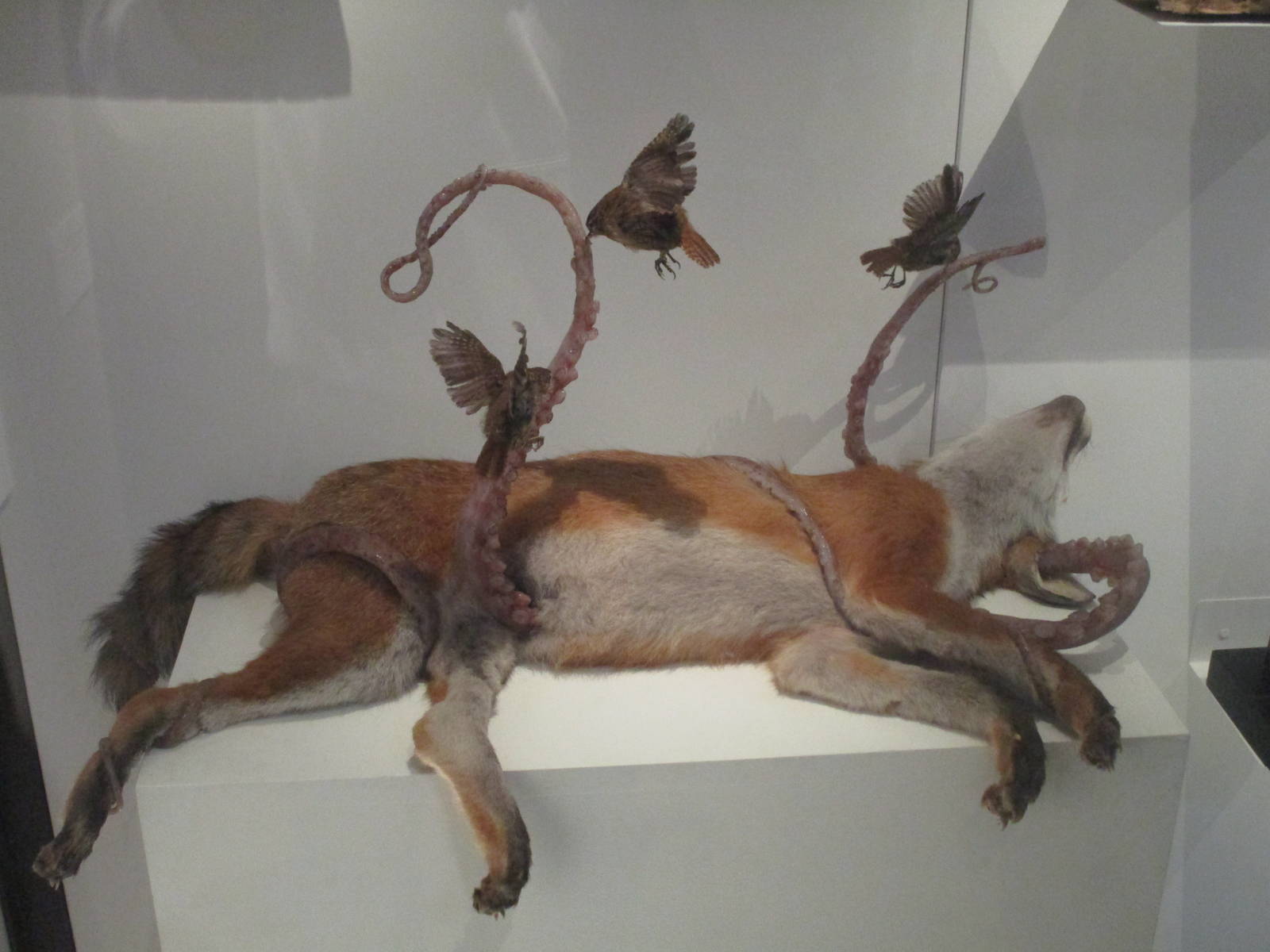 Very weird taxidermy exhibit