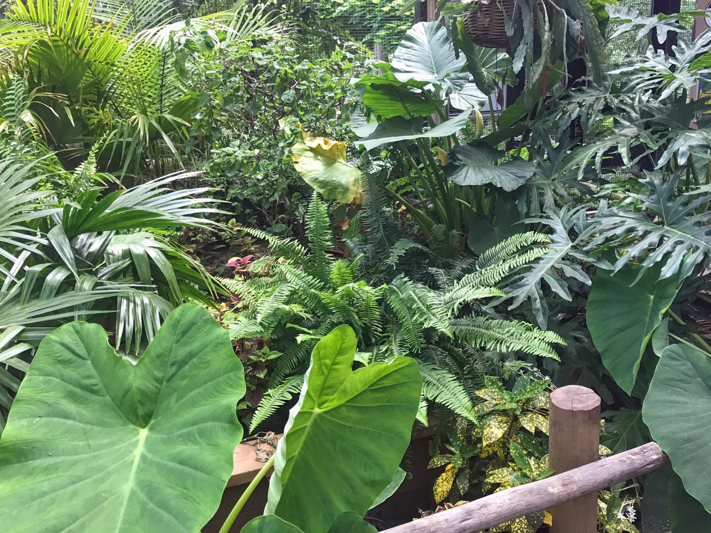 Vestibule between Australia & South America walkthrough exhibits.