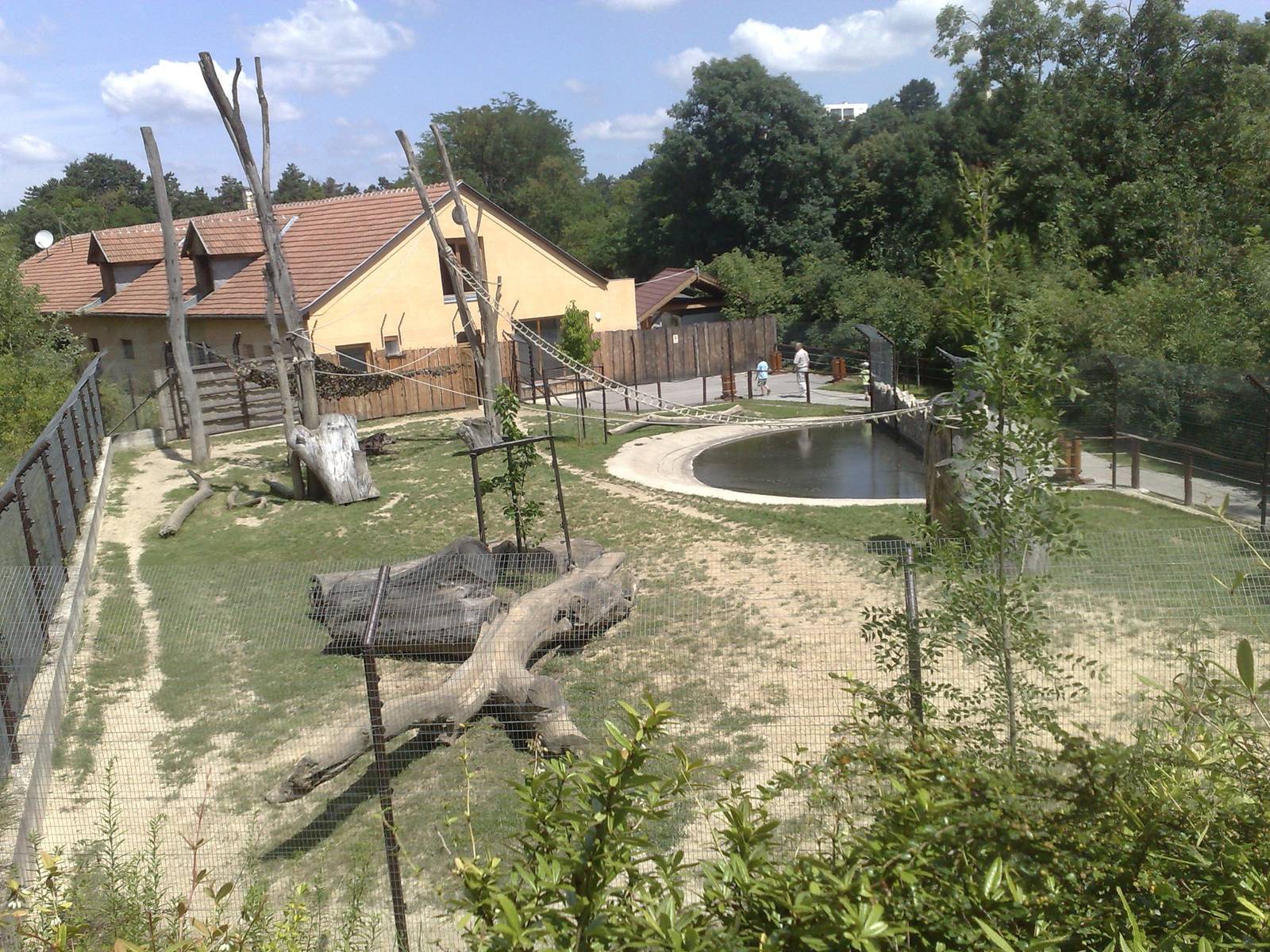 Veszprem Zoo - 2009 Tapir