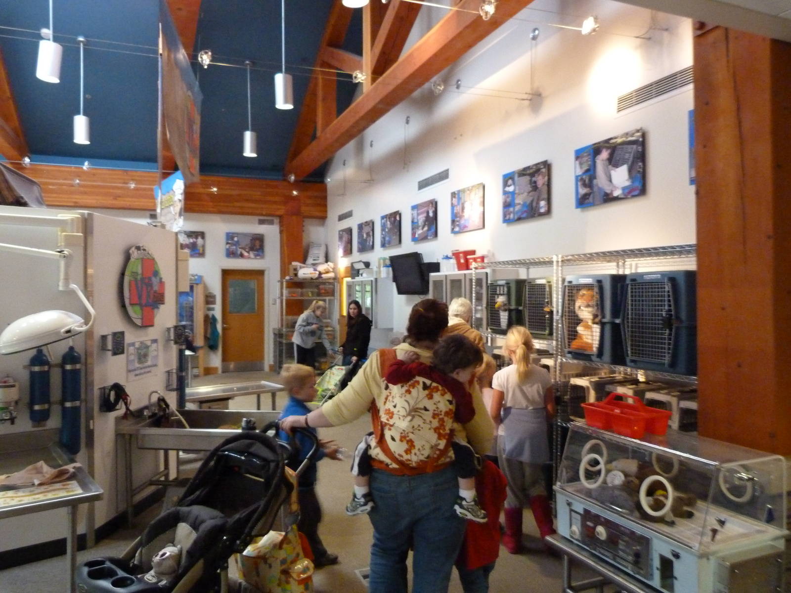 Vet Area for Children