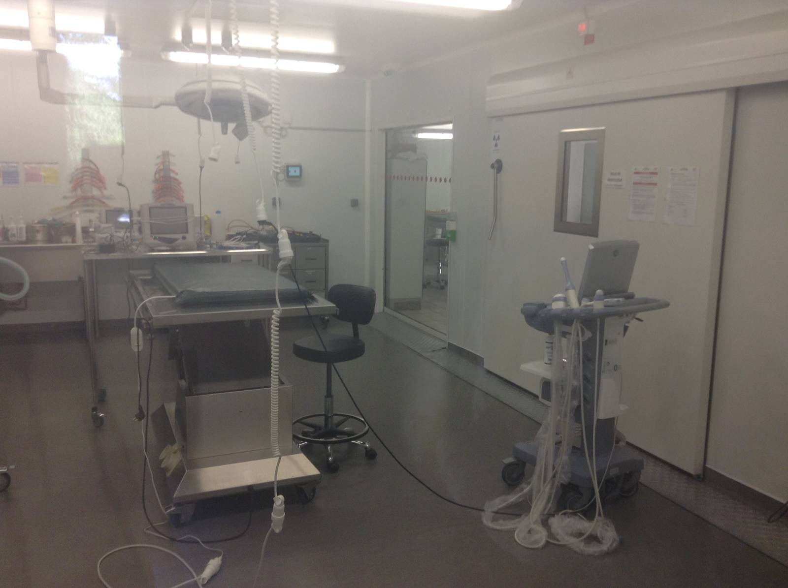 Vet Clinic - Paris Zoo