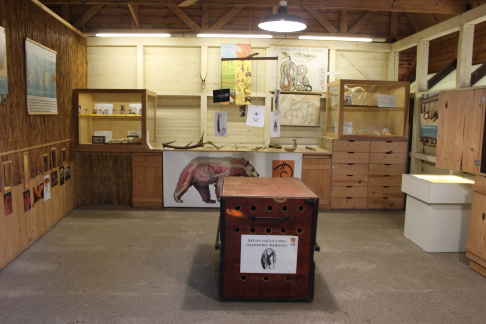 Veterinary care exhibit