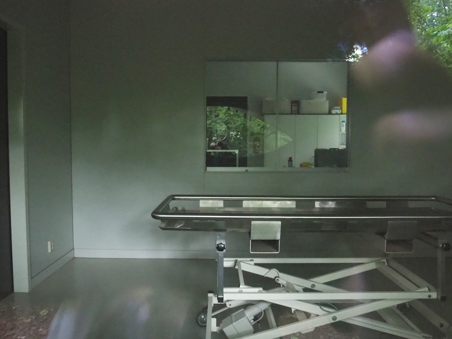 Veterinary clinic, 2023-08-17