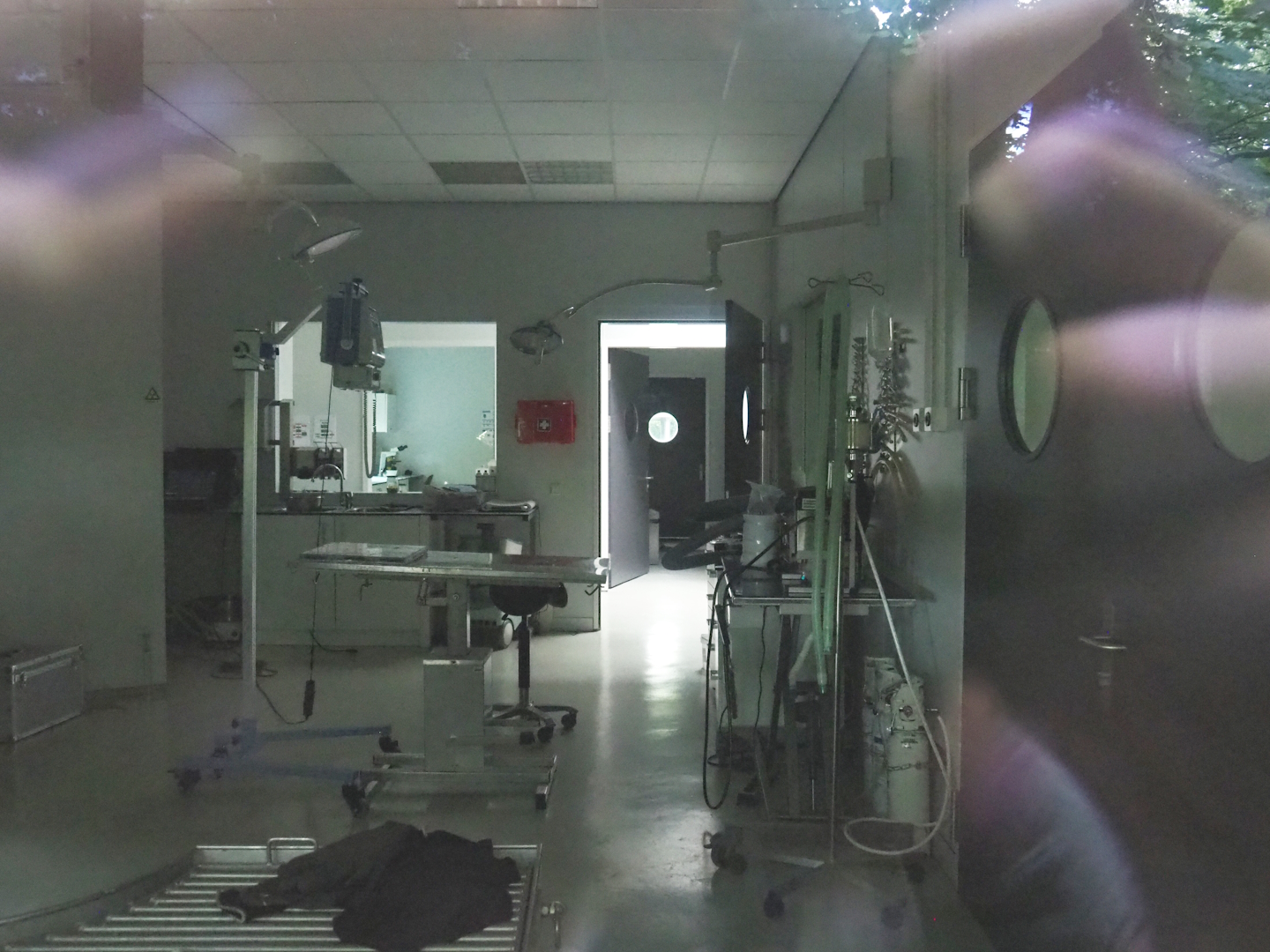 Veterinary clinic, 2023-08-17