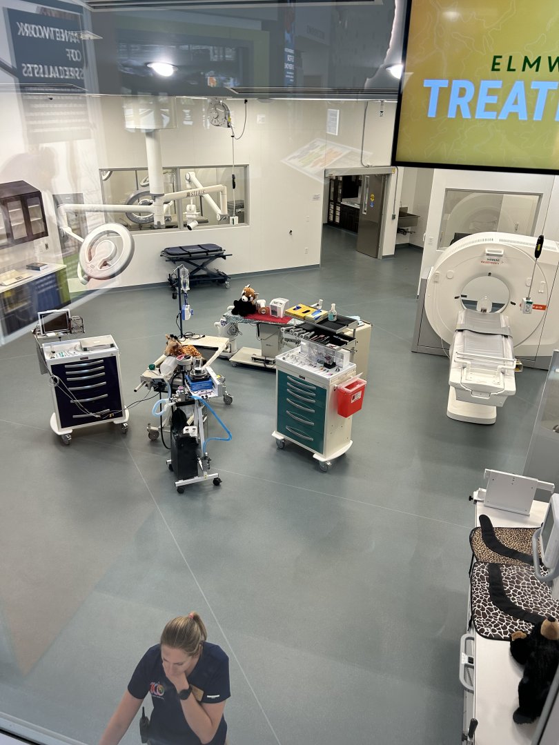 Veterinary Exam Room