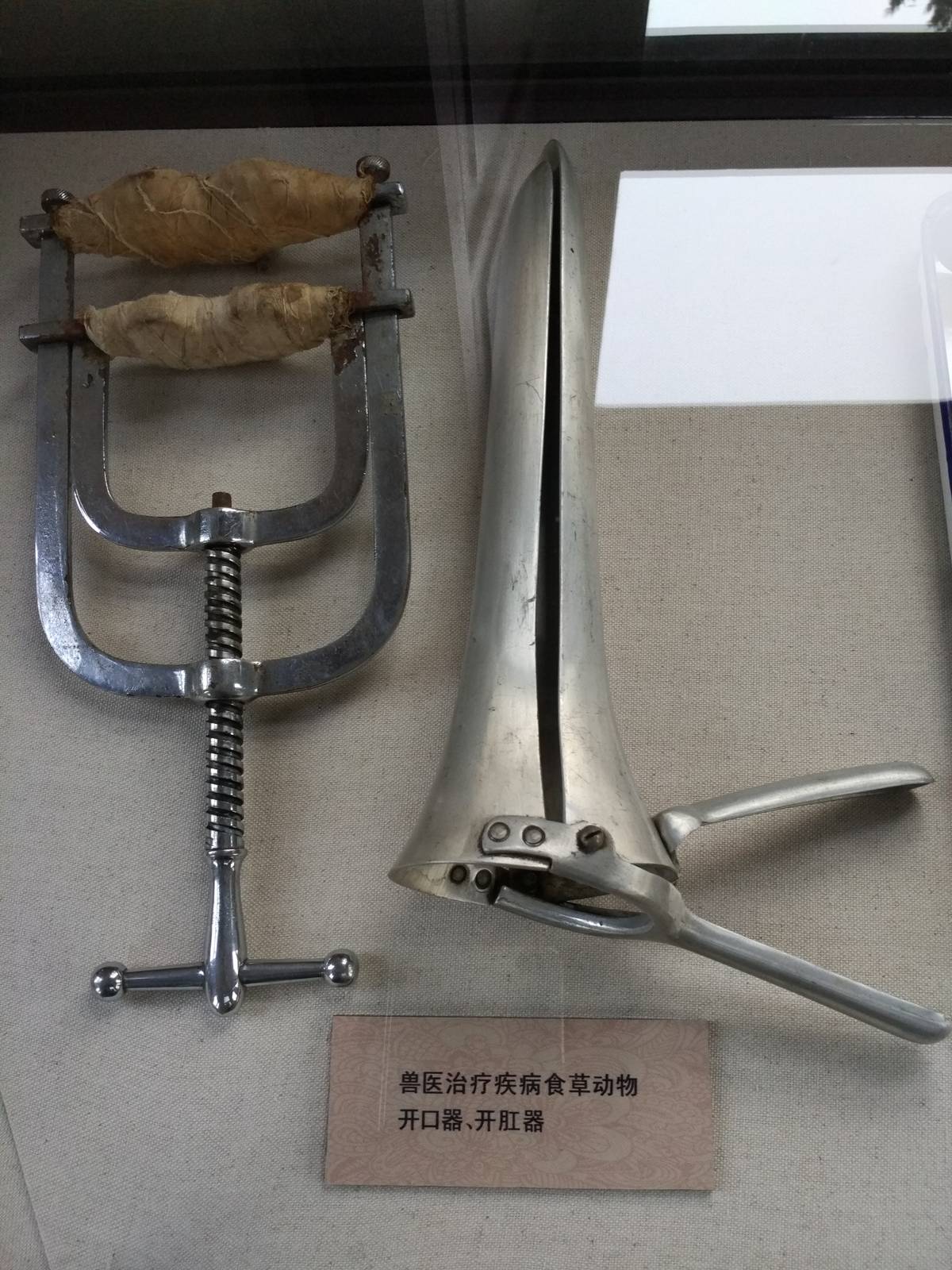 veterinary instruments