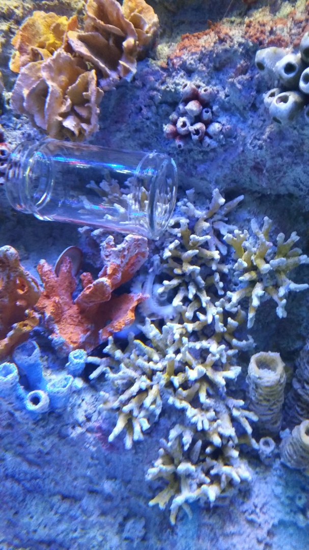 Via Aquarium