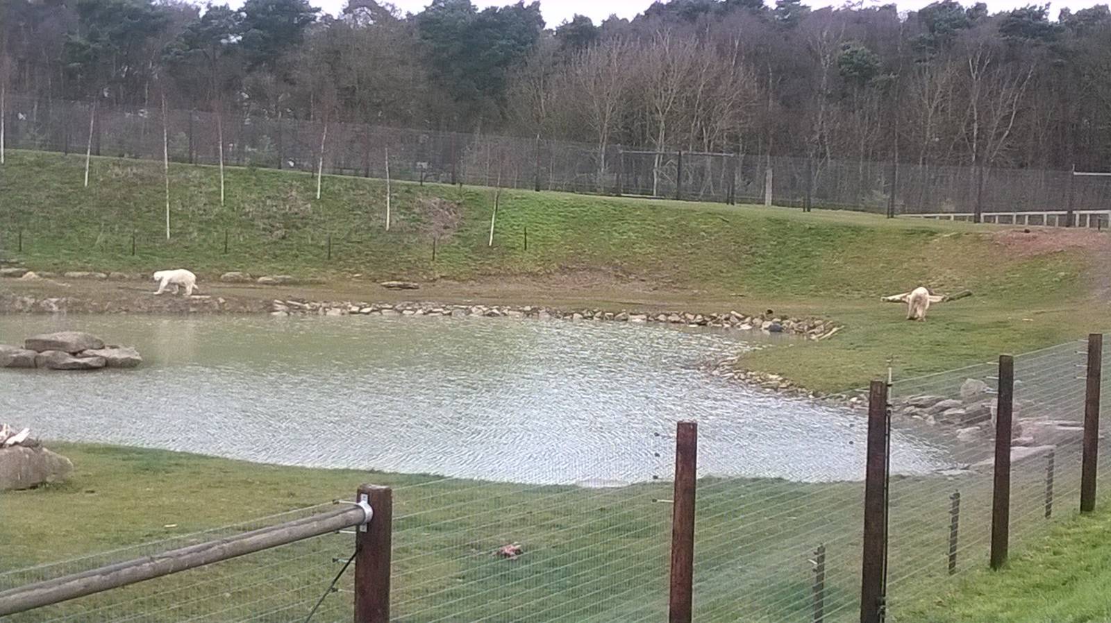 Victor and Pizel 29th March 2015