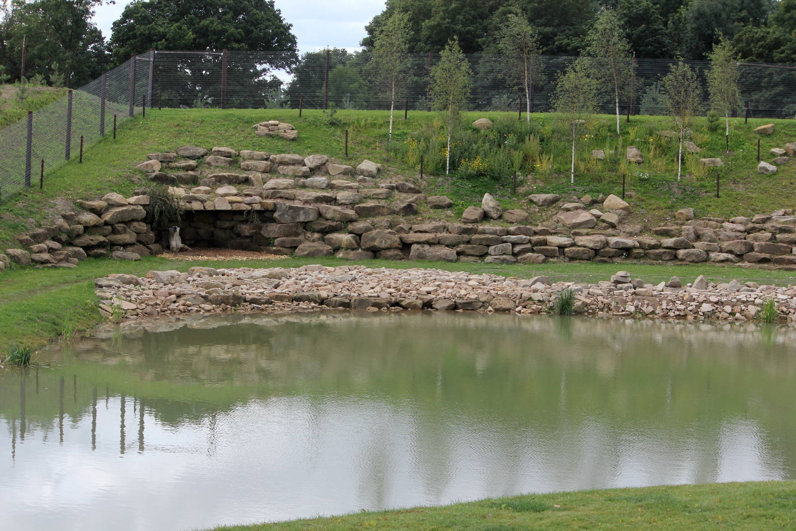 Victor in his den 24-8-14