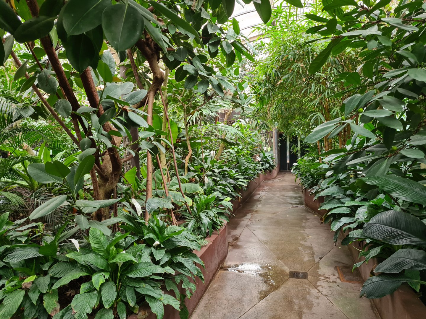 Victoria conservatory - General view