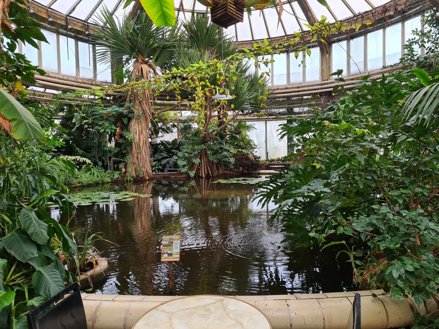 Victoria conservatory - General view