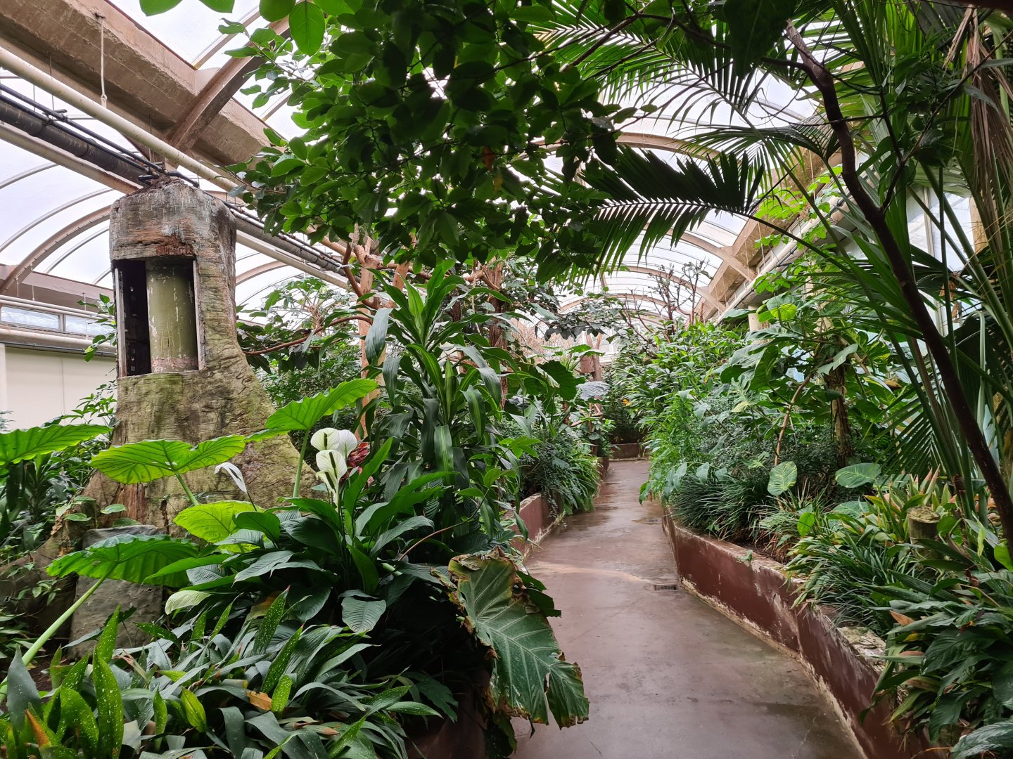 Victoria conservatory - General view