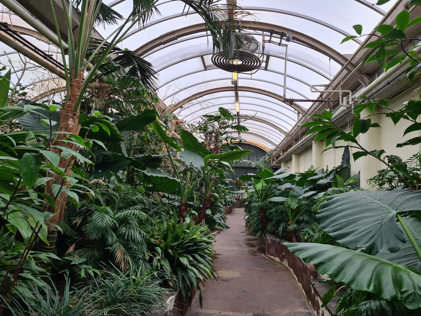 Victoria conservatory - General view