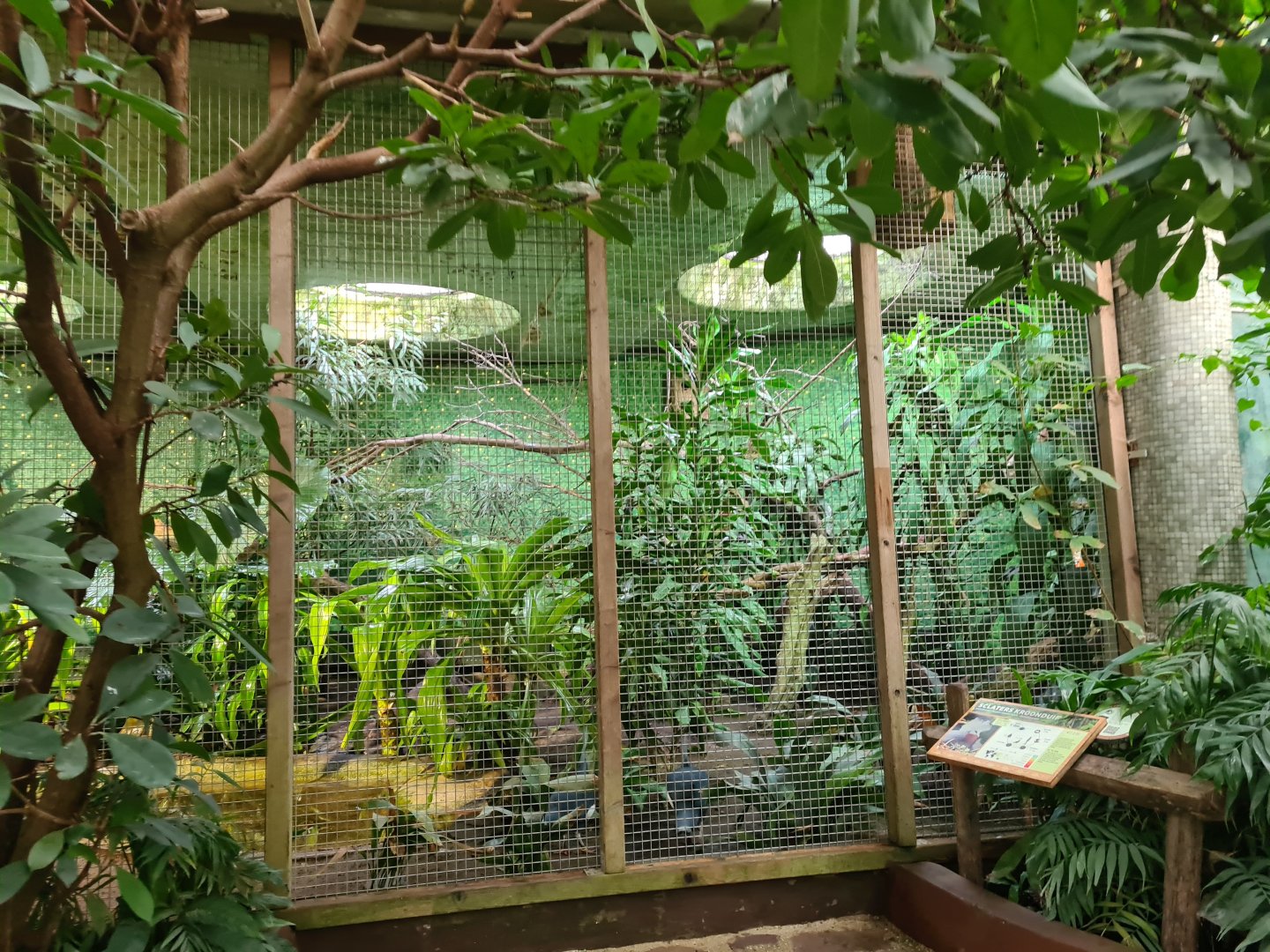 Victoria conservatory - Van Haren Carspel cage