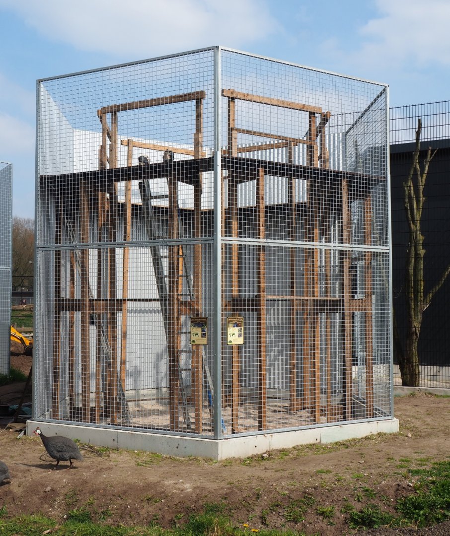 Victoria crowned pigeon and Red-billed blue magpie aviary under construction, 2019-04-06
