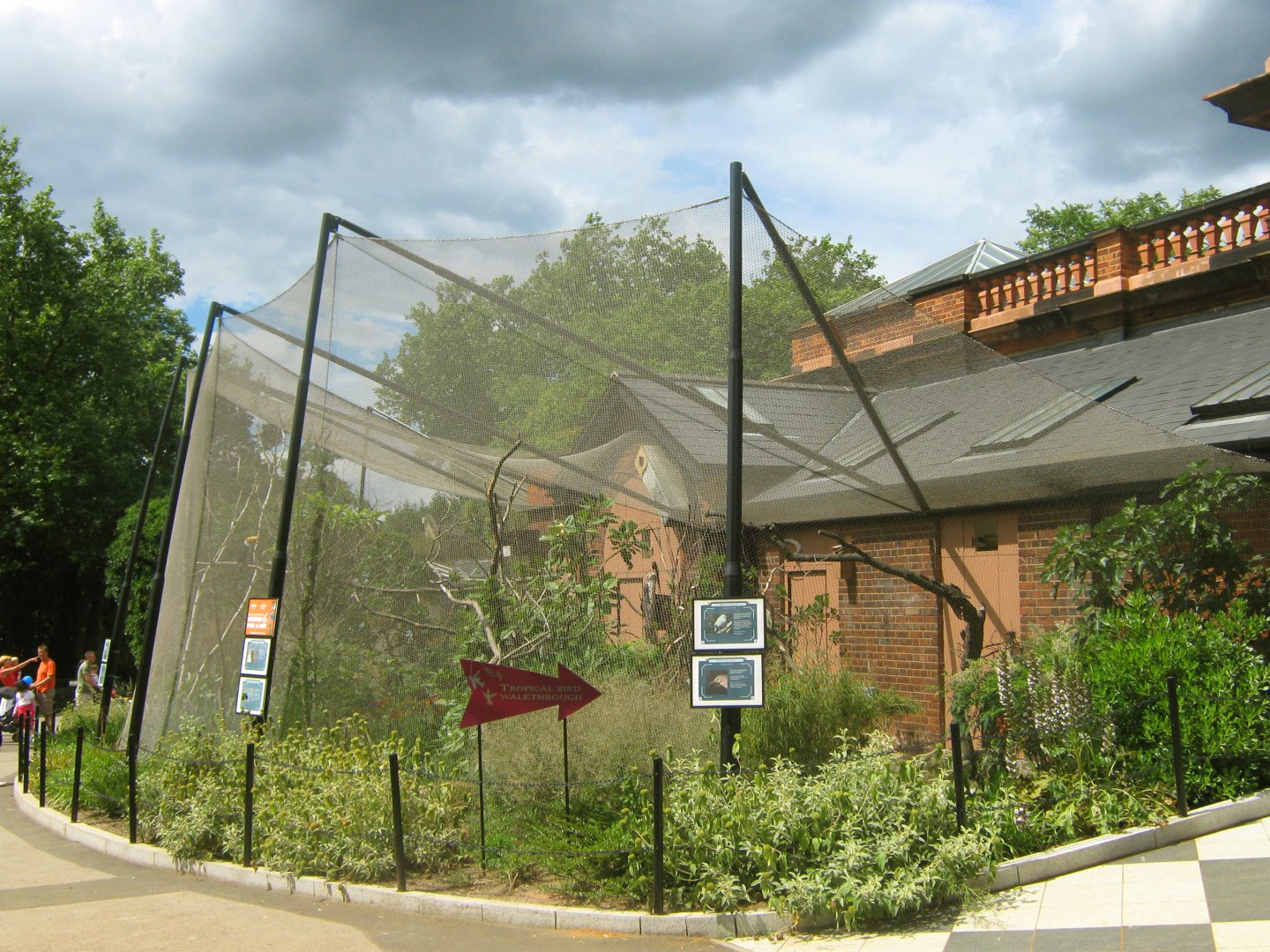 Victoria Crowned Pigeon Aviary