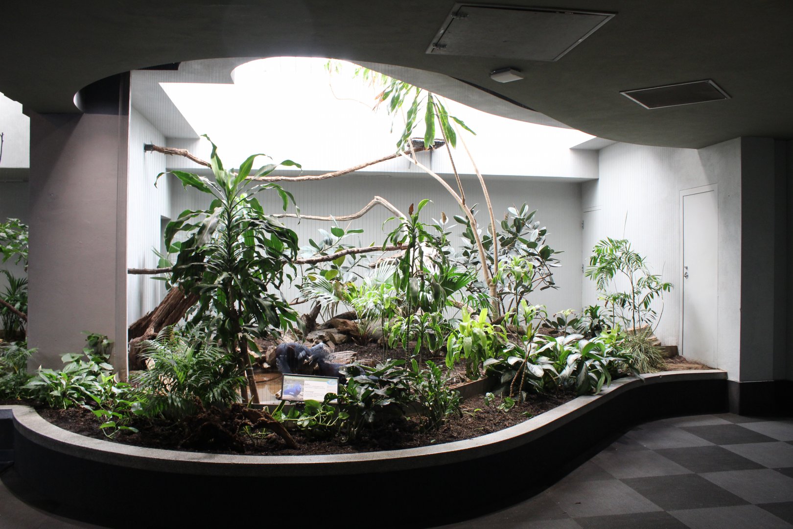 Victoria Crowned Pigeon Exhibit - Bird House