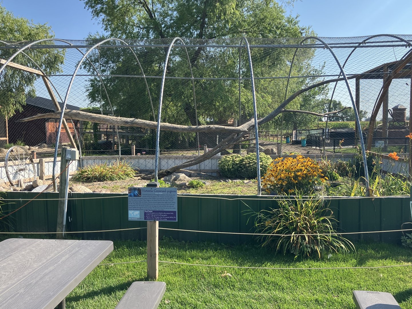 Victoria Crowned Pigeon/Northern Bobwhite Quail Exhibit
