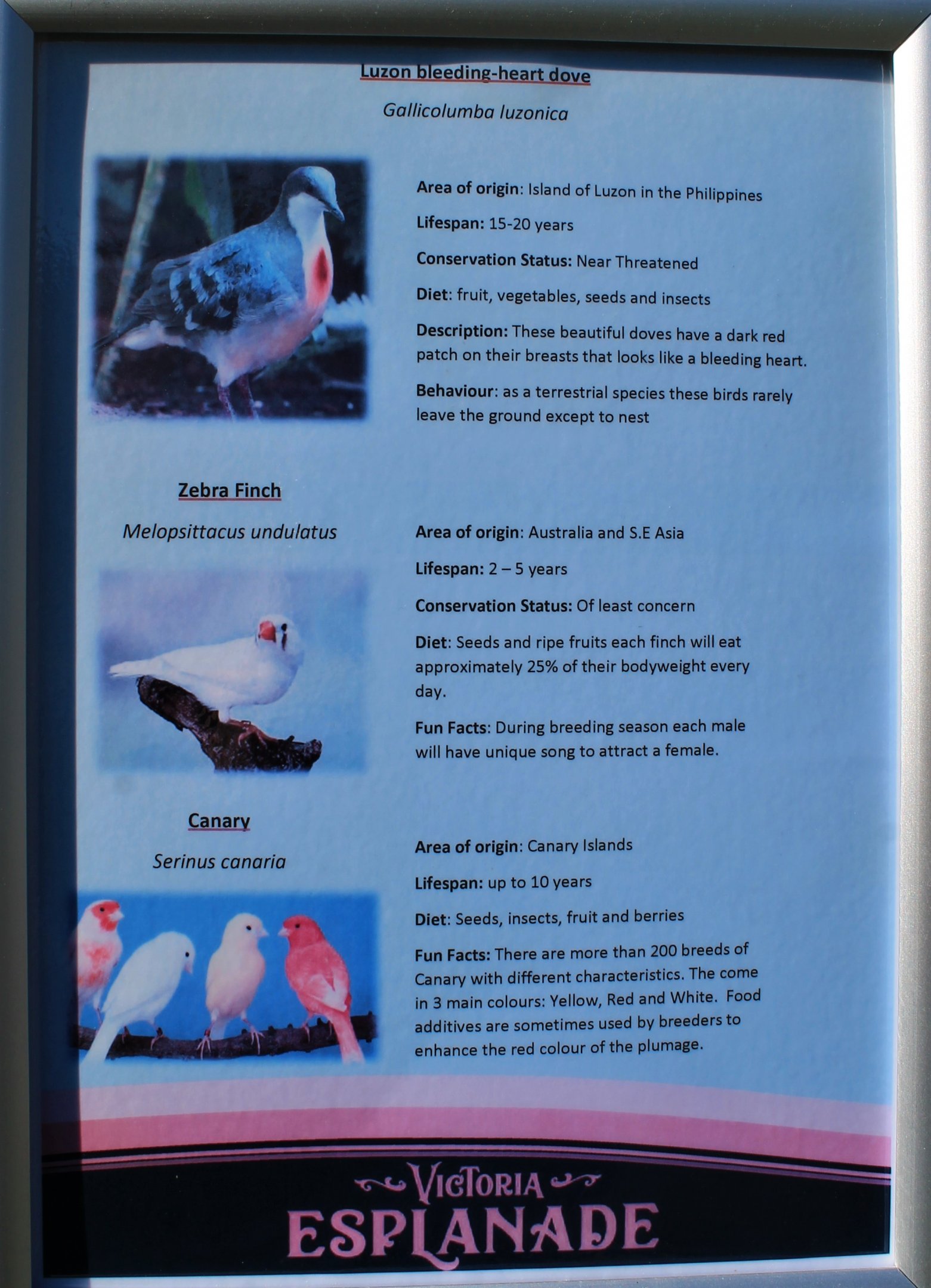 Victoria Esplanade aviaries - signage example