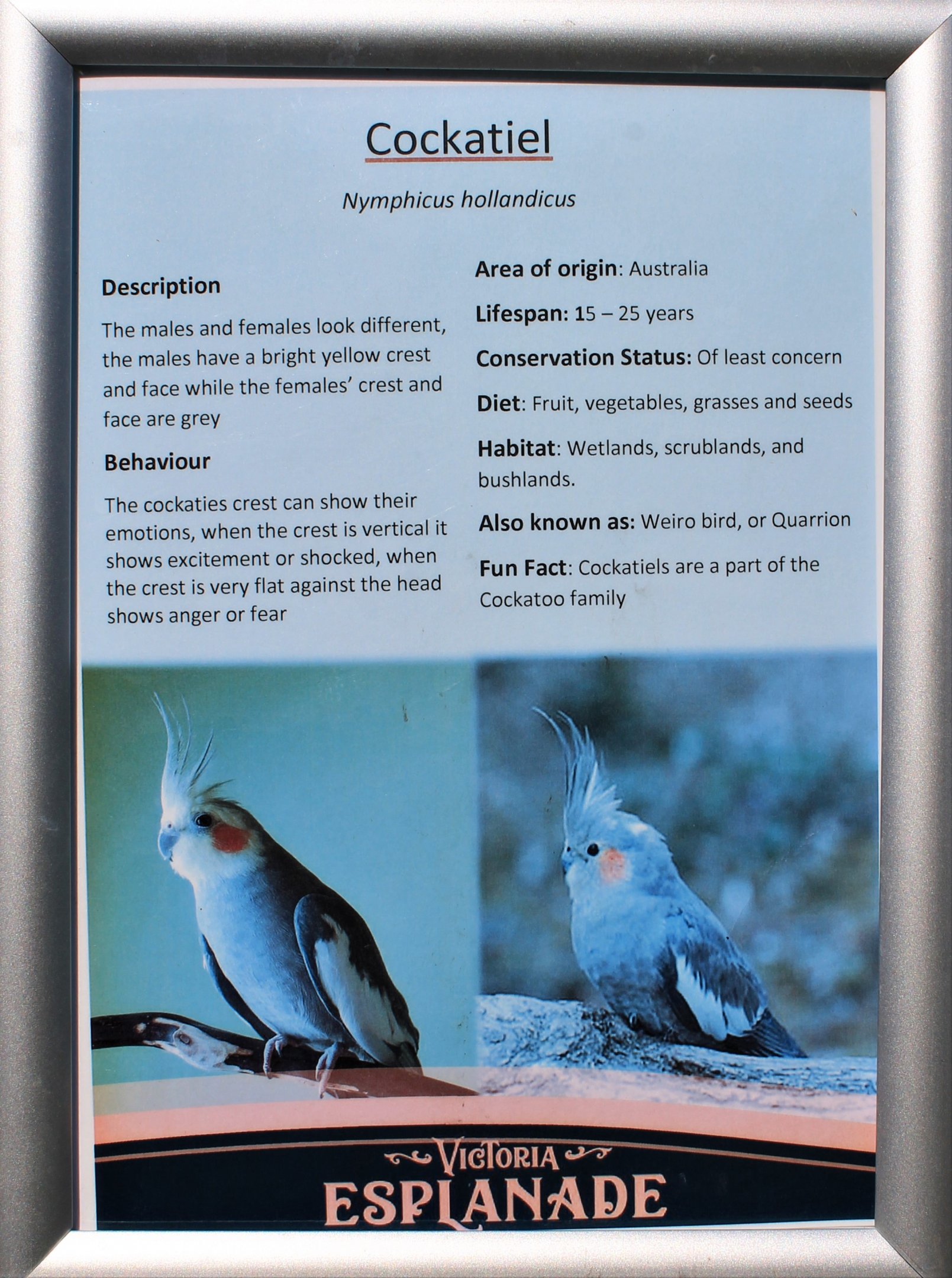 Victoria Esplanade aviaries - signage example