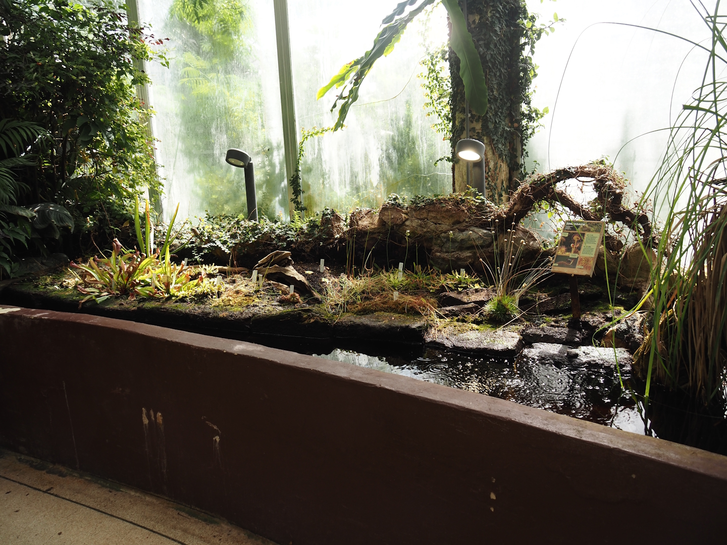 Victoria greenhouse section of the Riviera Hall - Carnivorous plant area, 2024-06-30