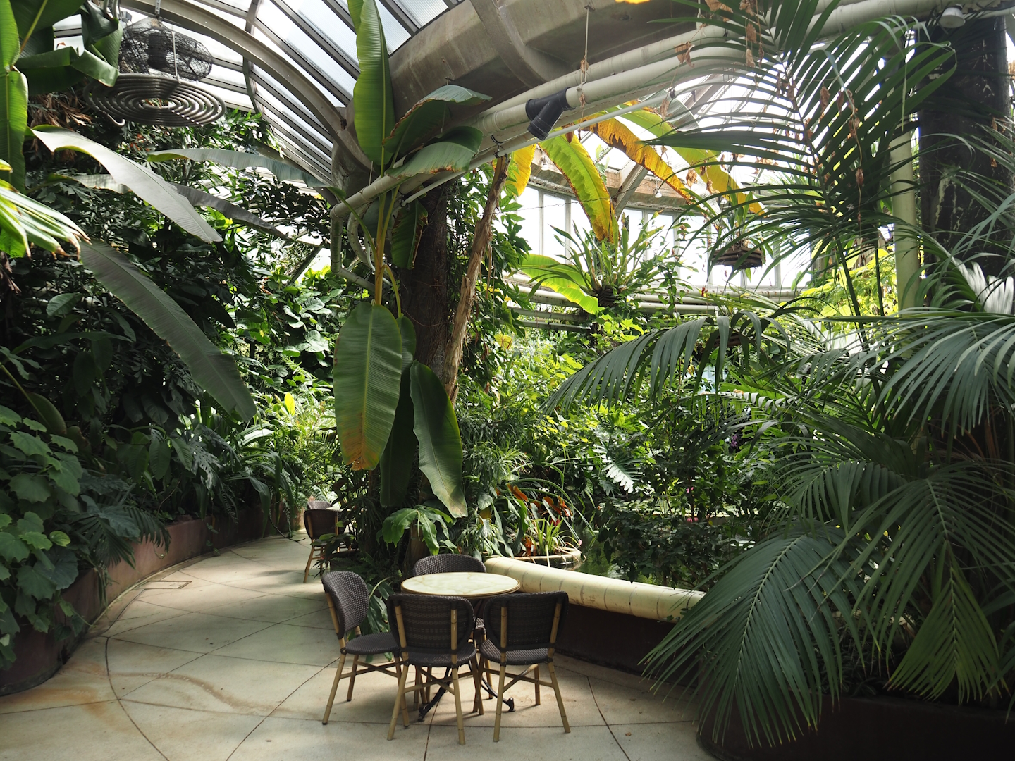 Victoria greenhouse section of the Riviera Hall - Victoria Conservatory, 2024-06-30