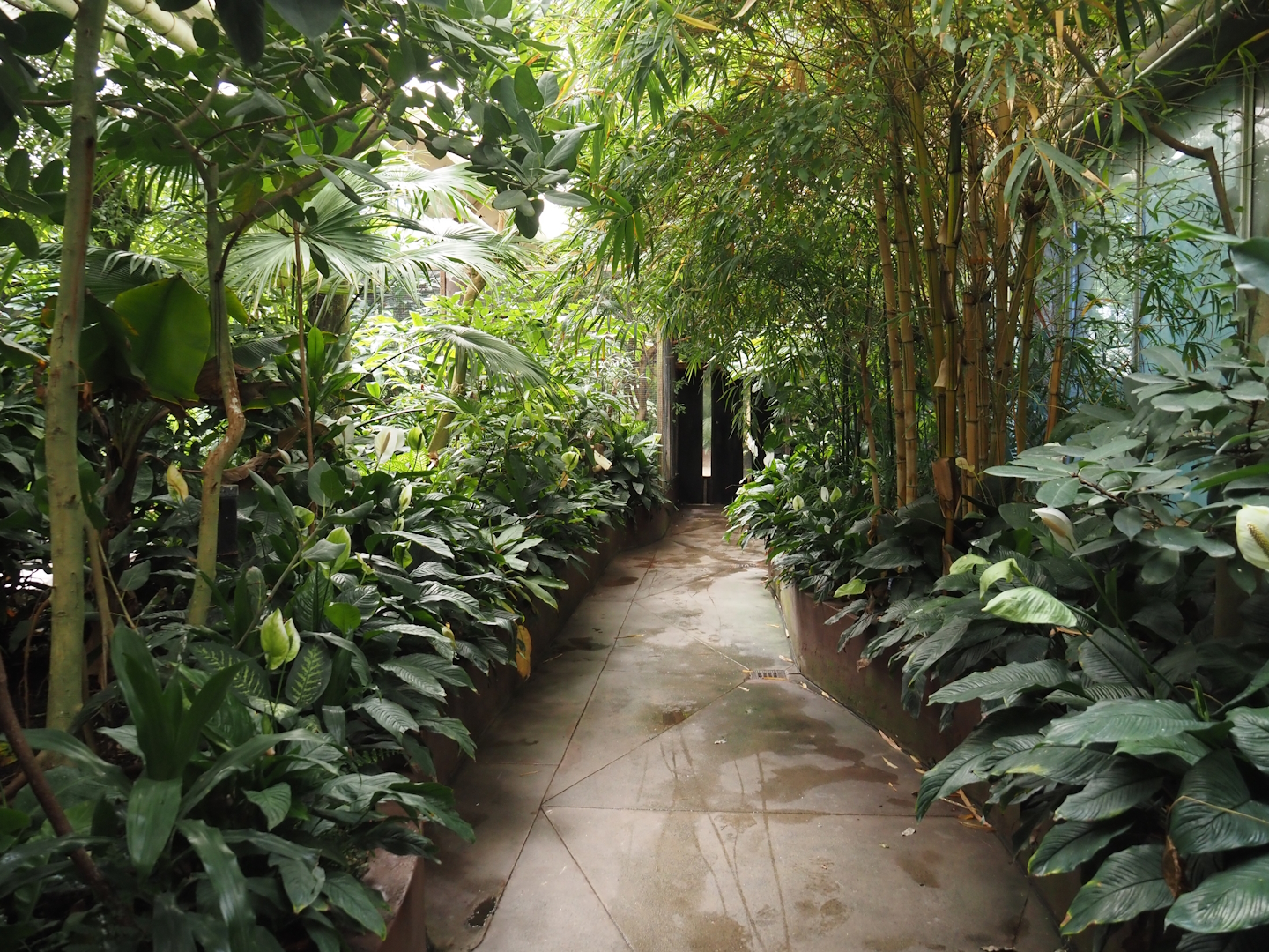 Victoria greenhouse section of the Riviera Hall - Walk-through exhibit, 2024-06-30