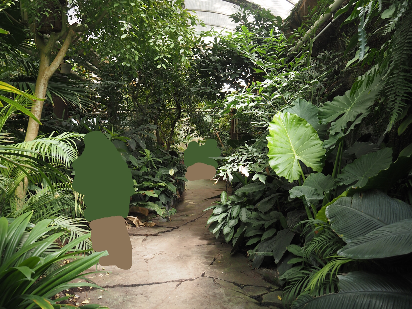 Victoria greenhouse section of the Riviera Hall - Walk-through exhibit, 2024-06-30