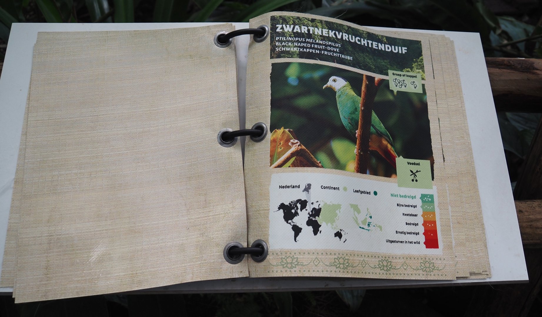 Victoria greenhouse section of the Riviera Hall - Walk-through exhibit bird identification book, 2024-06-30