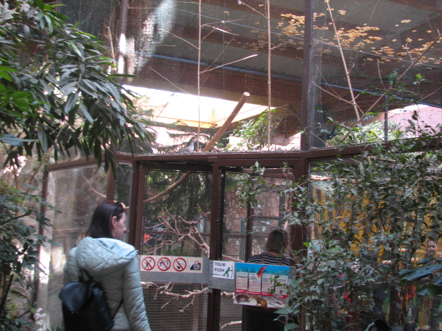 Victoria House general view