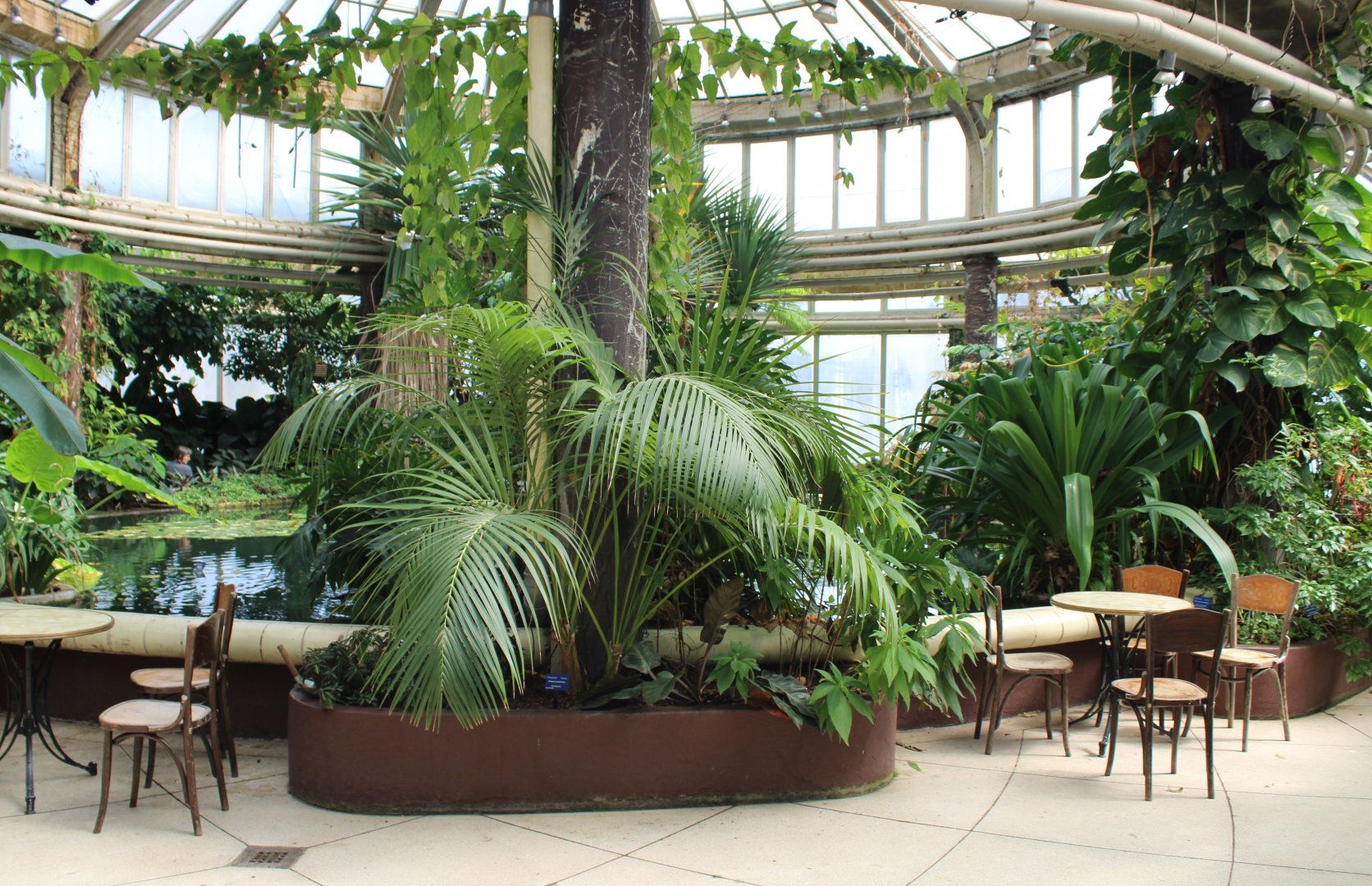 Victoria serre - part of the Riviera hal