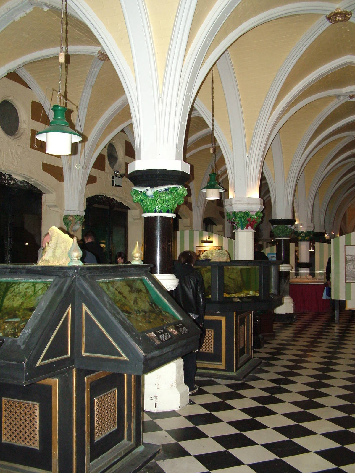 Victorian Displays at Brighton SeaLife Centre 13/03/10