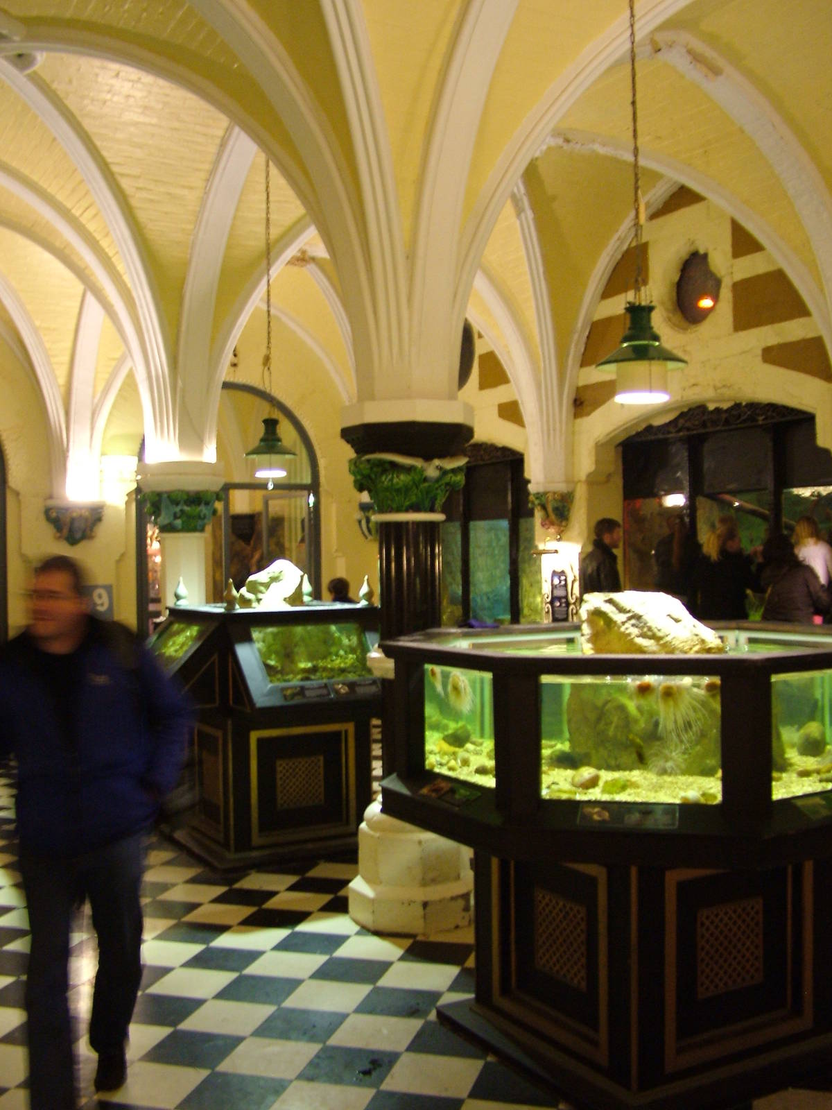 Victorian Displays at Brighton SeaLife Centre 13/03/10