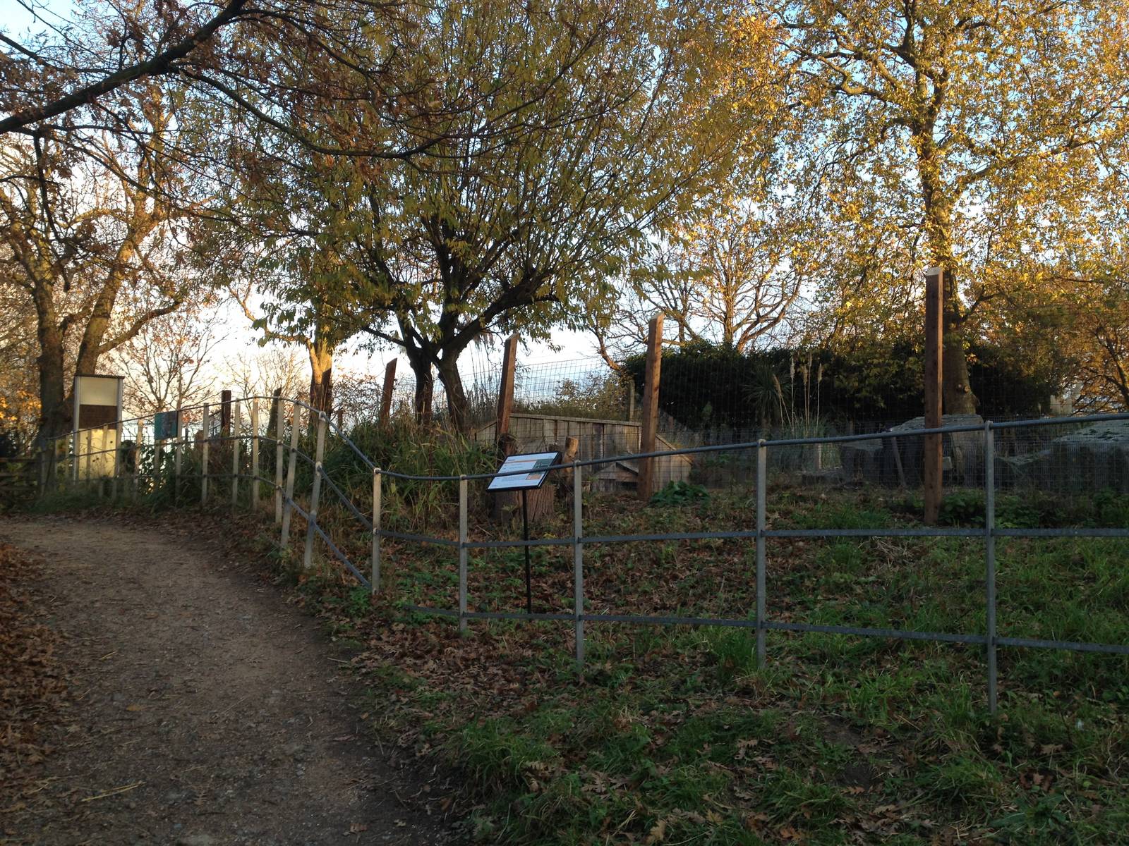 Vicu?a enclosure London Zoo December 2013