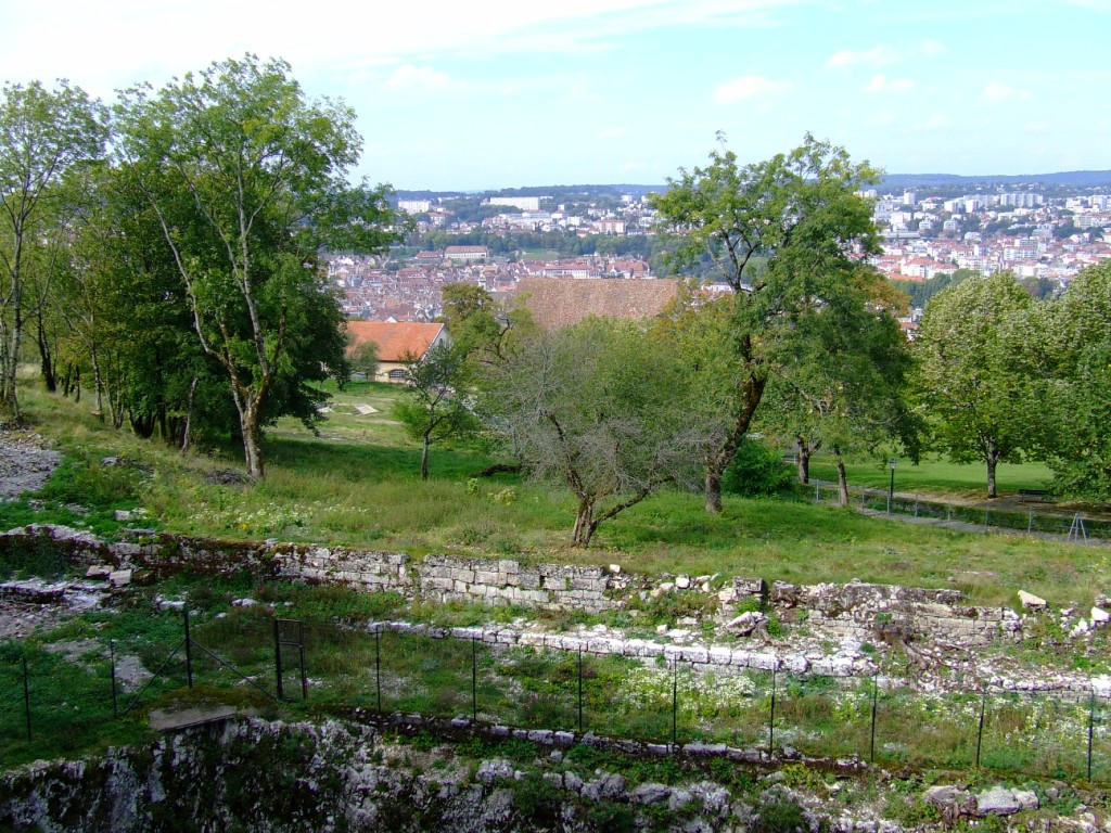Vicugna vicugna exhibit