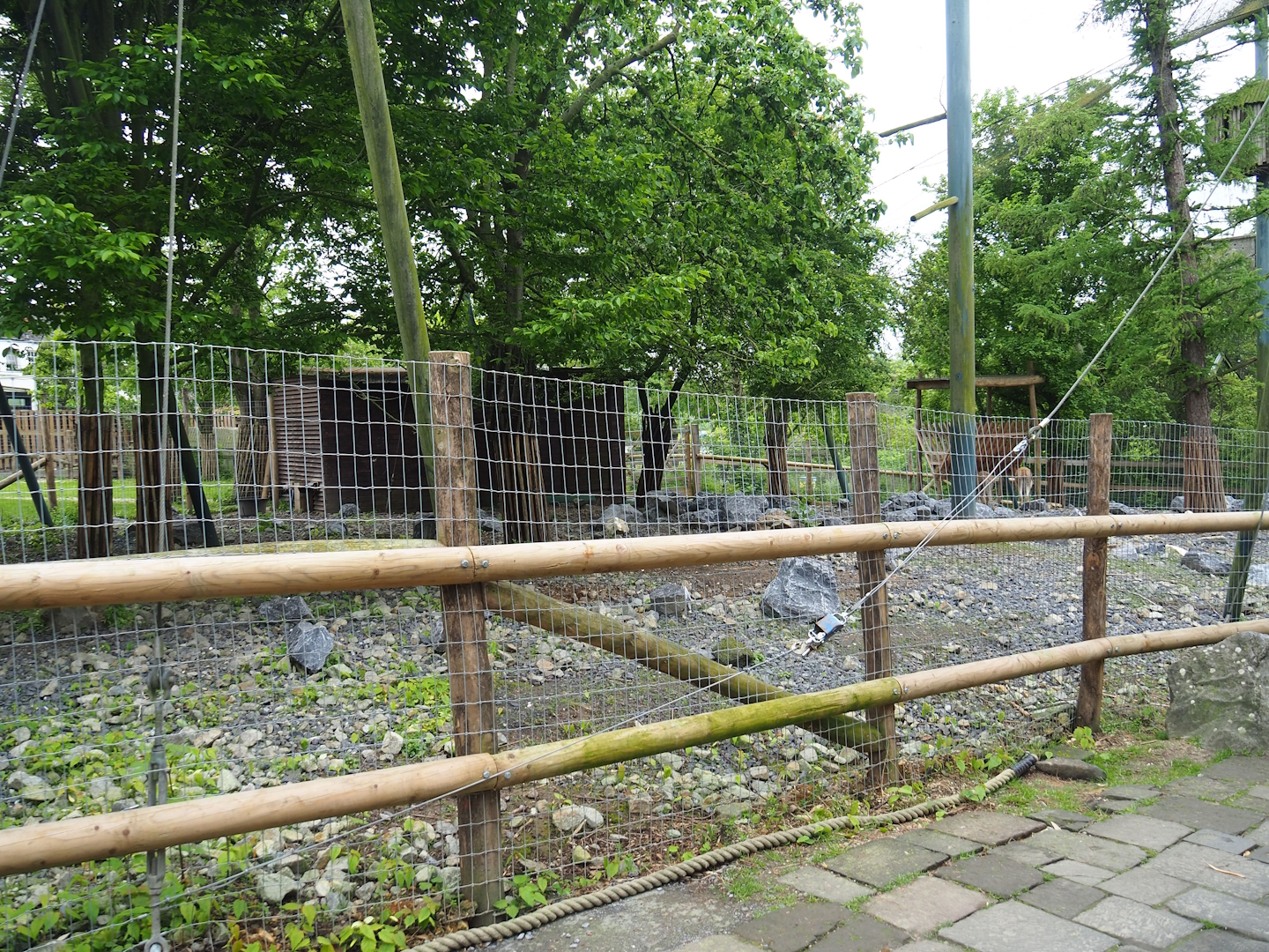 Vicuña and Patagonian mara exhibit, 2023-05-15