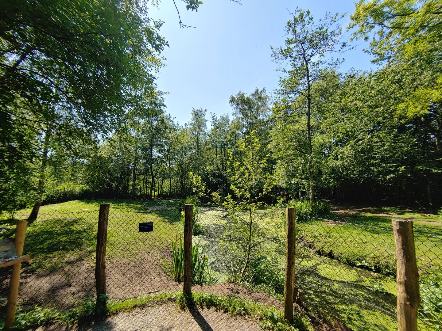 Vicuña and Rhea enclosure