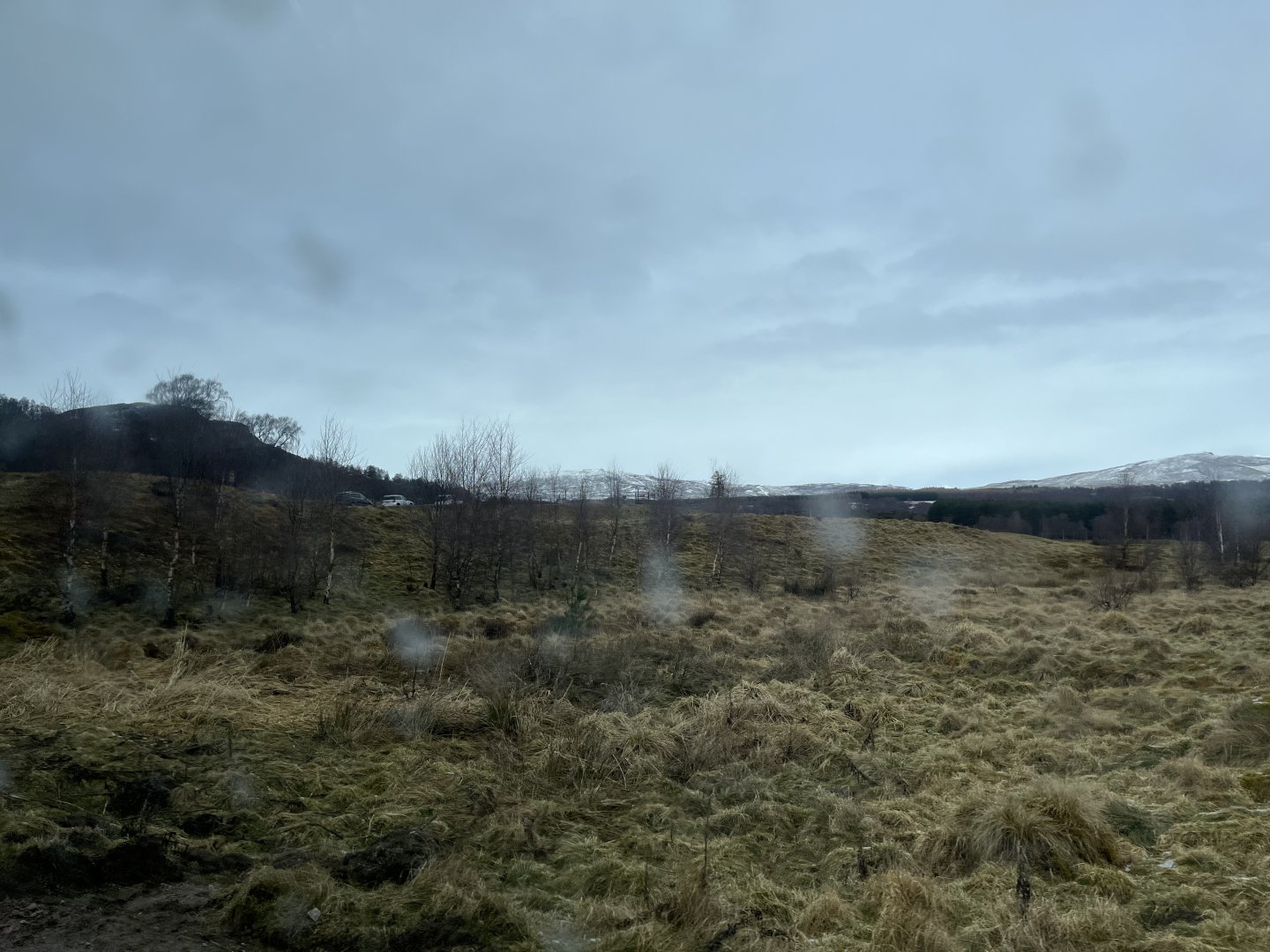 Vicuña drive-through reserve 5.4.24