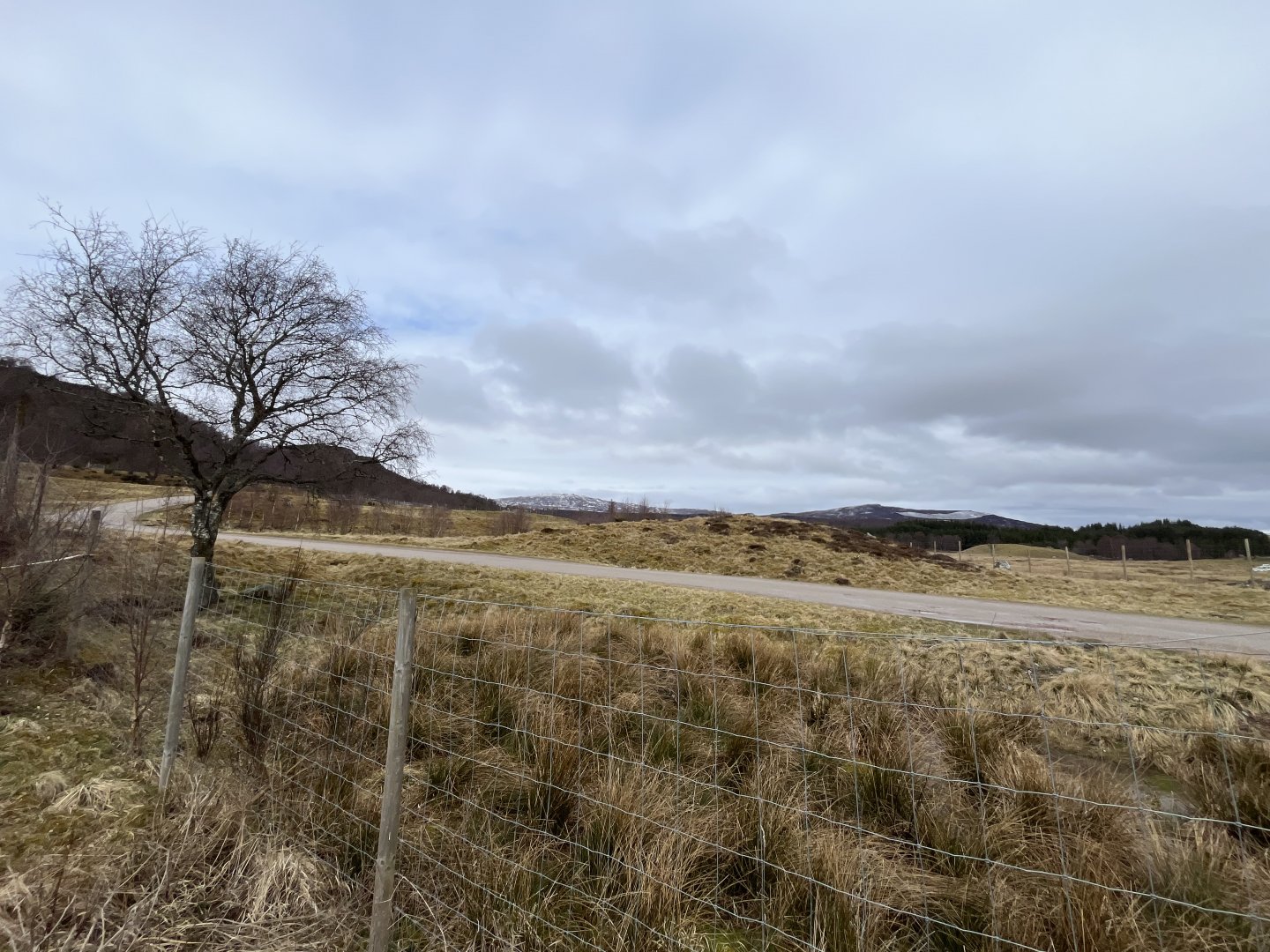 Vicuña drive-through reserve 5.4.24